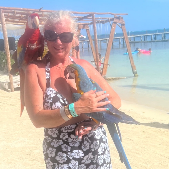 Join Me For For The New Seller Train January 31st Starting At 4pm EST - Picture 3 of 7